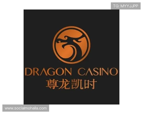 尊龙新版APP首页全新设计,带您领略不一样的手机使用体验