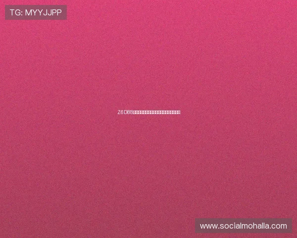 Z6D88线路在工业自动化中的应用实例与效果评估