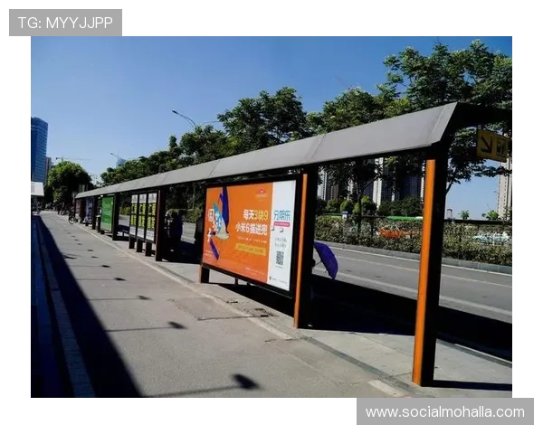 d88尊龙手机app下载后遇到问题怎么办？解决方案全解析