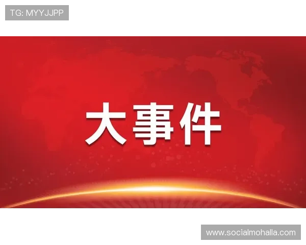 尊龙z6.com地址平台帮助用户快速找到官方授权的游戏入口保障账号安全