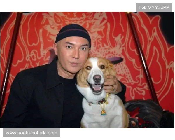 尊龙官网手机版下载尊龙凯时，详细介绍官方渠道下载的优势与安全注意事项