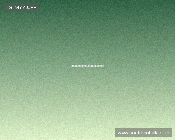 尊龙人生就是首页：探索人生的精彩起点与无限可能